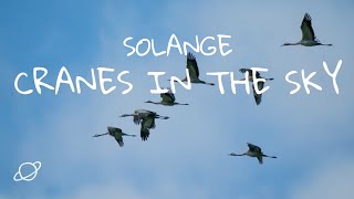 Solange - Cranes In The Sky Lyric Video
