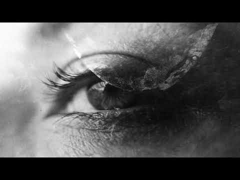 Module Module - Artifacta | Highest Quality