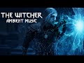 The Witcher Netflix Ambient Music Collection | Season 1-2 & NotW | Relaxing/Emotional Mix