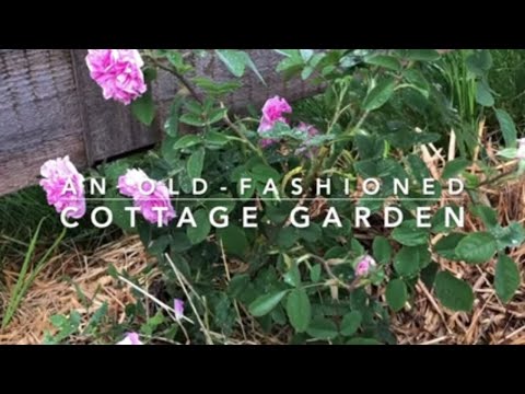 Designing an Old-Fashioned Cottage Garden