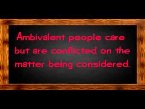 TRANSIT TV TEACHER TEXT - Lesson #146: "Ambiguous & Ambivalent" - Justin Vyor, Los Angeles