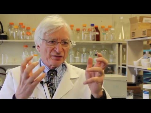 Dr. Michael Holick, BUSM - PLOS ONE Findings