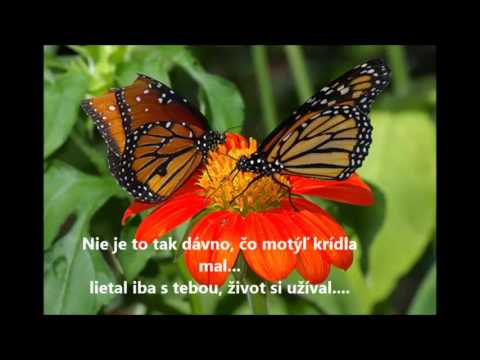 New Legend - Zlomené krídla