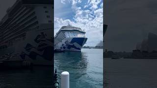 How Many Cruise Ships Can You Name? 🌍🚢