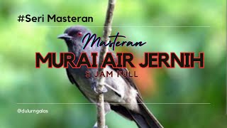 Download lagu Masteran Murai air Mancur GACOR Nembak RAPET plus PANJANG, Suara ASLI BERJEDA,  5 Jam FULL mp3