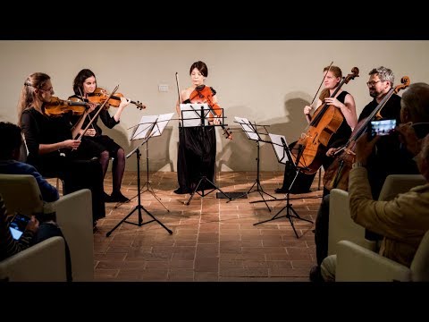 String Concert at Villa Manzoni / San Marino 2017 - Extended version