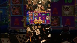 The Dog House GREAT WIN #slot #casino #lucknow #bigwin #luckygameplay #slotmachine