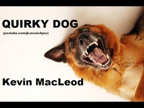 Quirky Dog - Kevin MacLeod - 2 Hours