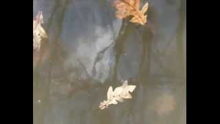 Video Autumn Song Poitín