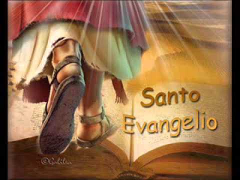 EVANGELIO 30 DE JULIO DE 2014, MONS  ENRIQUE DÍAZ