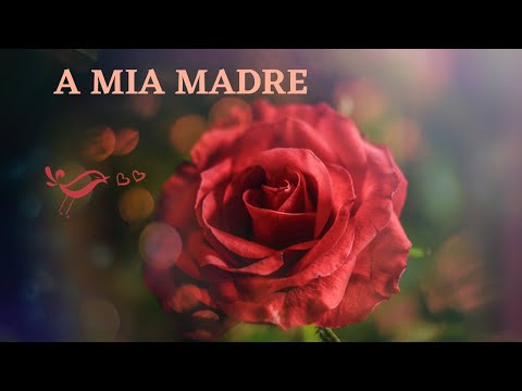 A mia madre - Video poesia di Paola Collura