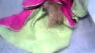 ju a rebolar ao som do Tony