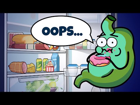Your Organs React to Late Night Snacks | Organismo