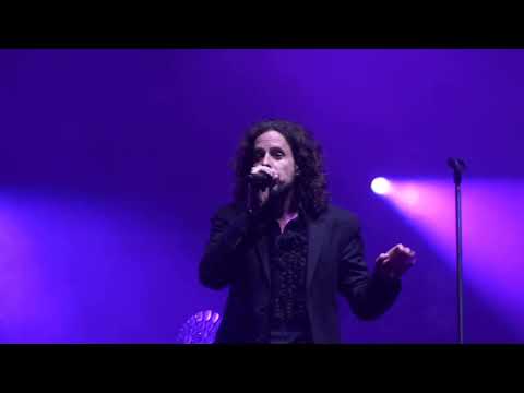 Castle Party 2023  - Forced To Mode  - Shake the Disease