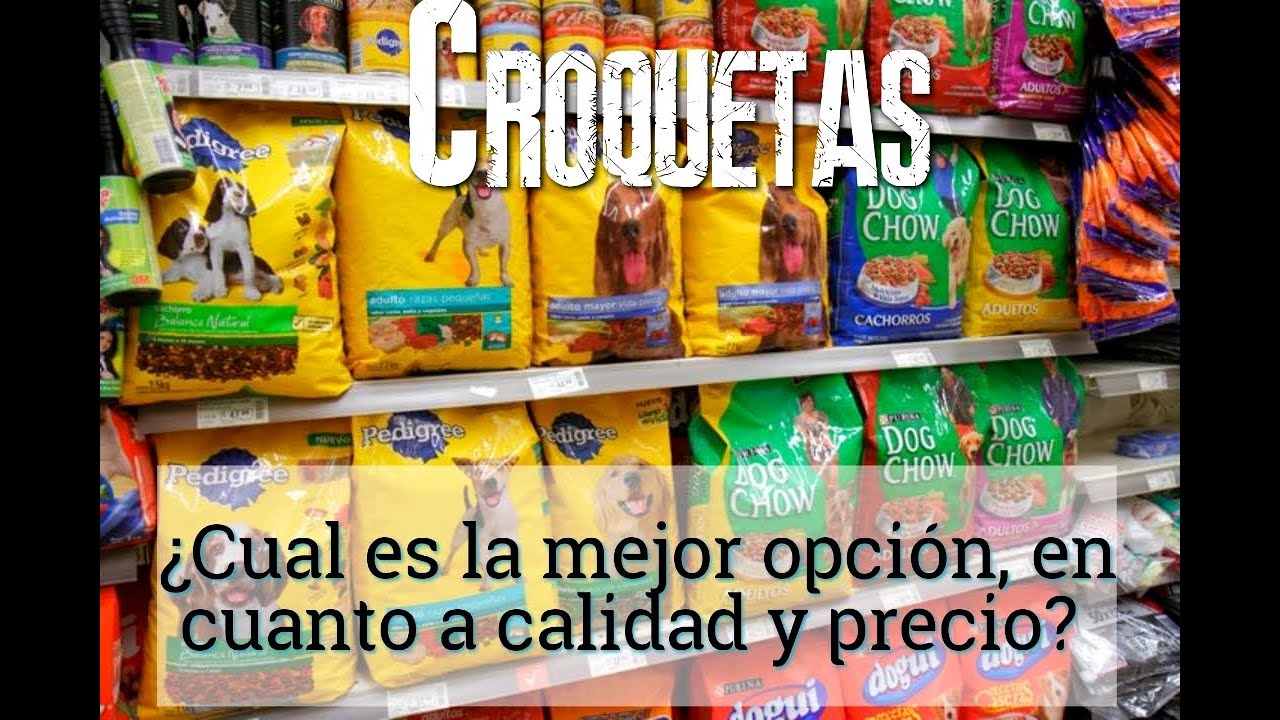 ¿QUE CROQUETAS DARLE A MI PERRO