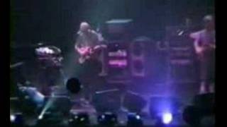 Phish - 11.16.95 - Horn