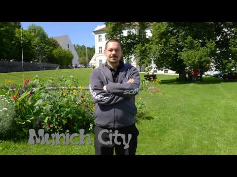 Liun - Sommer (Remix)