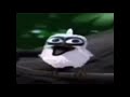 Bird Screams Earrape Warning