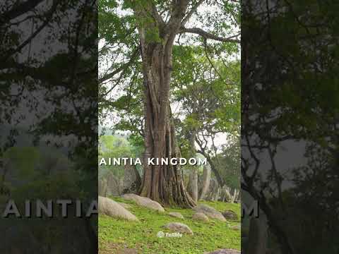 Unveiling the Mysteries: The Monoliths of Nartiang in Meghalaya | A Cultural Journey