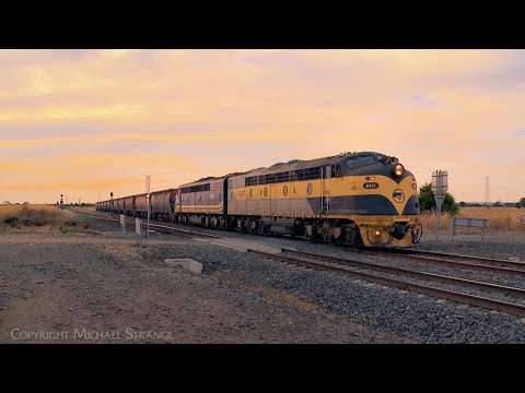 9196 Broad Gauge SSR Grain Train With S317 & S312 (15/2/2023) - PoathTV Australian Railways