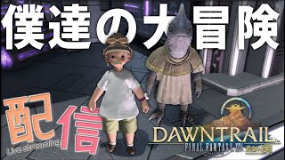 グルージャと僕の夏休み【FF14】