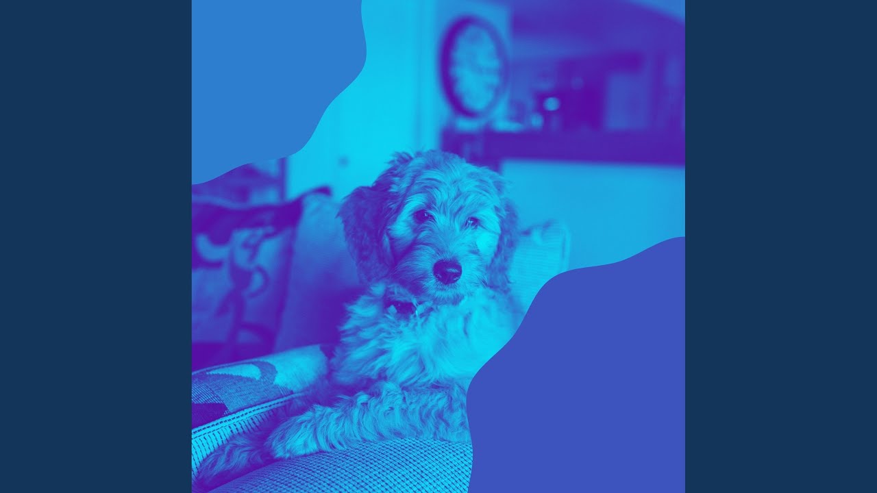 Romantic Hypnotic Puppy