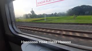 Download lagu Pinarak Bojonegoro Lirik Lagu mp3 Download lagu Pinarak Bojonegoro Lirik Lagu mp3