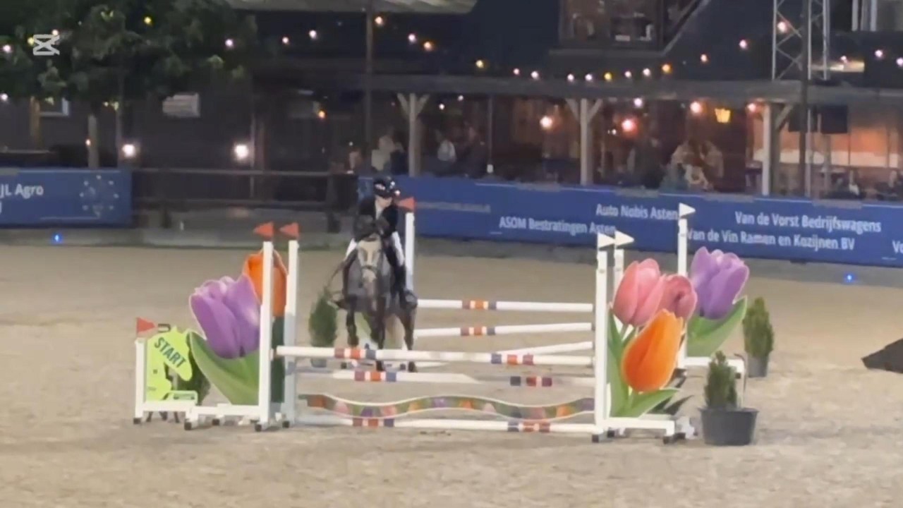 Rainbow friends van de bergen video 3