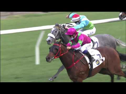 20/12/2020 (284) Celestial Power- M F Poon