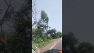 Download lagu rah mp3 Download lagu rah mp3