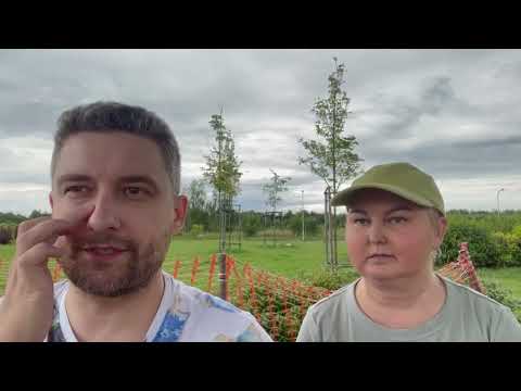 Obrazek poglądowy filmu YouTube