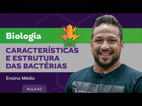 Características e estruturas das bactérias - Biologia - Ensino Médio