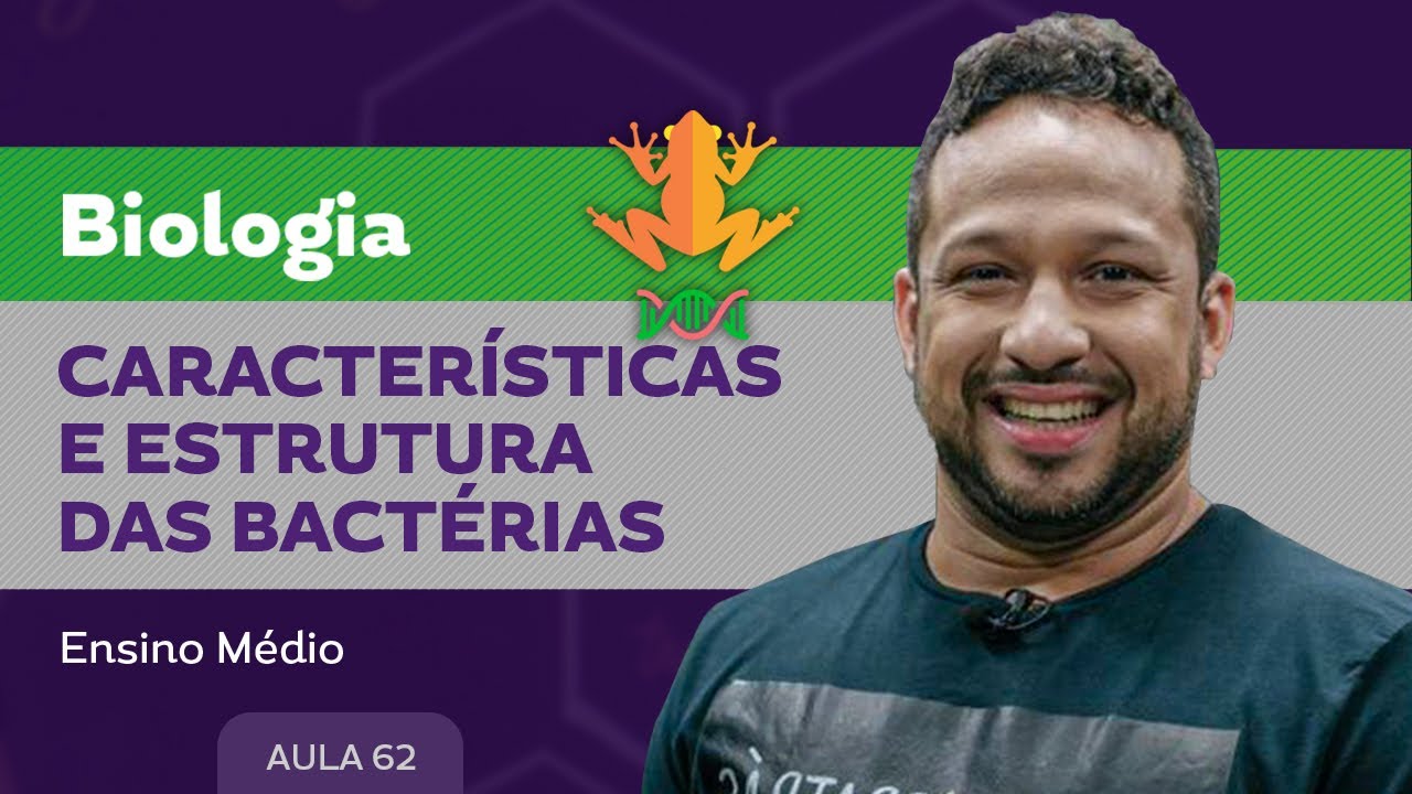 Características e estruturas das bactérias - Biologia - Ensino Médio