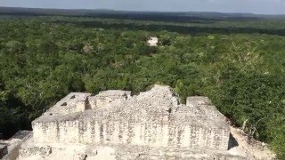 Lon Enemigos - Dentro (de la selva)