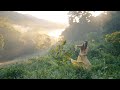 Mystical Days Of Farming In The Rainforest Magic Sewing Clothes And Building Fences