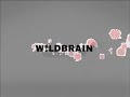 Wildbrain Nick Jr Productions 2008 In Pitch Black Mega Photo Variant