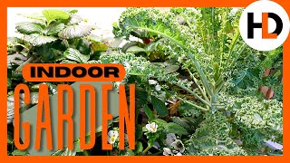 Start Hydroponics: Easy Guide for Beginners