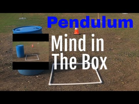 Mind in the Box #5  Steel Challenge Stage SC-106 Pendulum  - Shooting Sports Tips & Strategy
