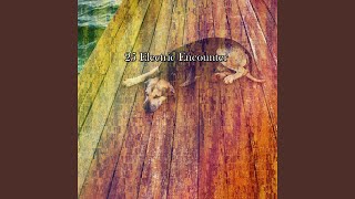 Way Through The Storm