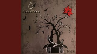 Strangest Most Beautiful