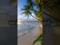 Pachai Kiligal Song Whatsappstatus Tamilsonglyrics Arrahman Family Love Viral Trending