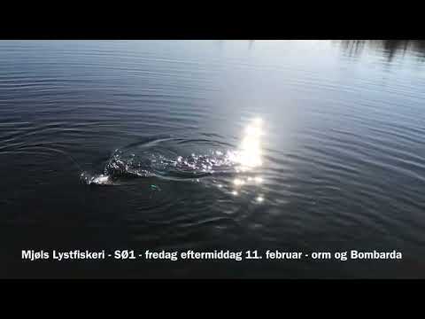 Mjøls Lystfiskeri Rødekro