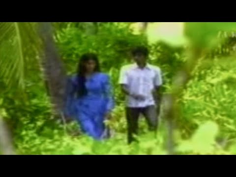 Masodi Hassan Khaleel - Eynee loabi