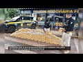 Caminhão com placa de Rolim de Moura é flagrado com cerca de 350 kg de cocaína em Rondonópolis