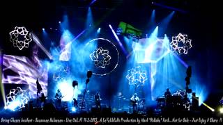 String Cheese Incident - Suwannee Hulaween - Live Oak, Fl  11- 2- 2013