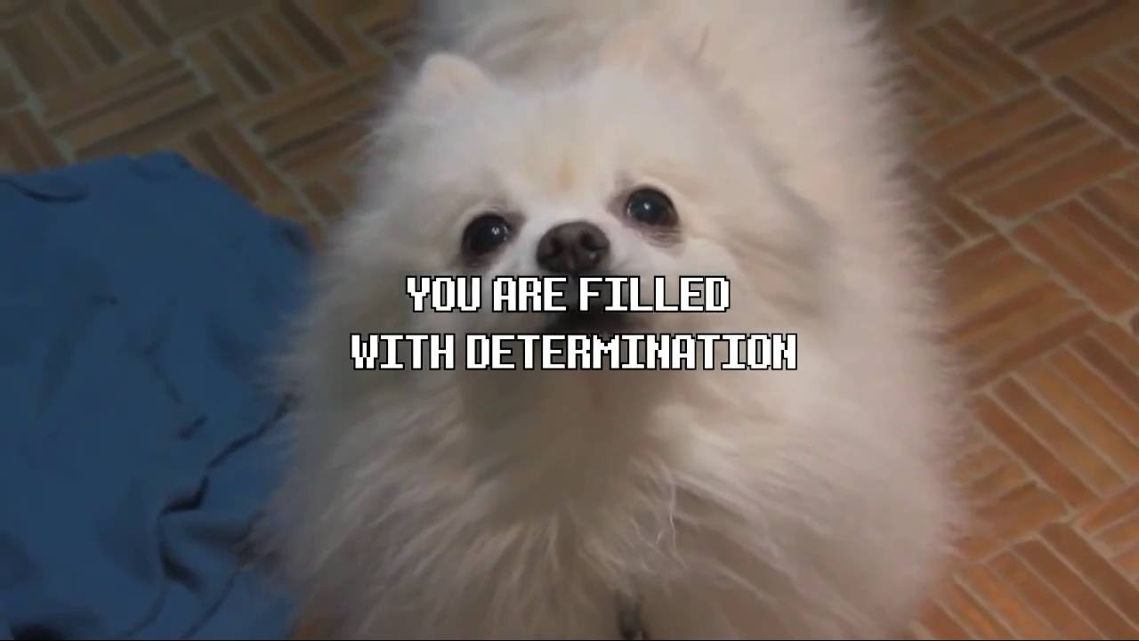 All Gabe The Dog Undertale Songs Compilation.