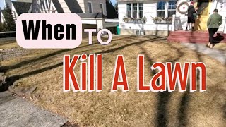 Why Killing A Lawn And Starting Over Makes More Sense