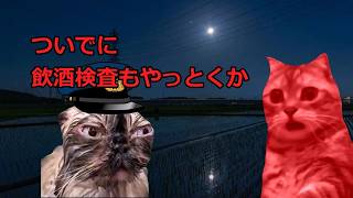 【猫ミーム】特級呪物DQN1～4＋α総集編