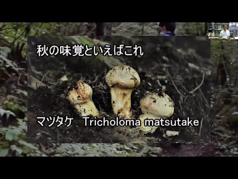 農学生命科学科 【農学部】山田明義准教授（応用真菌学研究室）2021オープンラボ動画