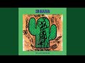 The Cactus (Remix)